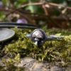 Fly Agaric Amanita muscaria magic mushroom shroom mushies picky luck ring made from silver coins by hairy Growler