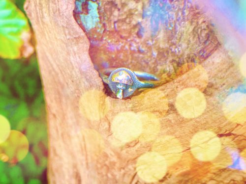 Fly Agaric Amanita muscaria magic mushroom shroom mushies picky luck ring made from silver coins by hairy Growler